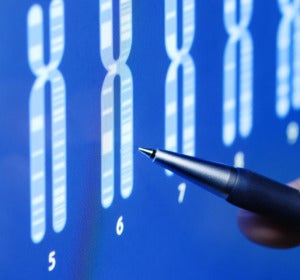 Test de incompatibilidad genetica Test de incompatibilidad genetica