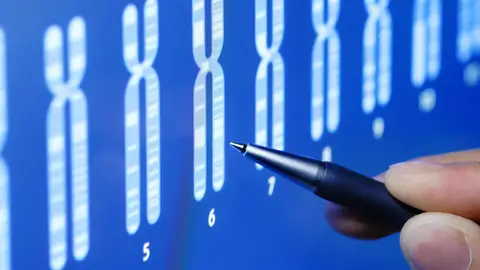 Test de incompatibilidad genetica Test de incompatibilidad genetica