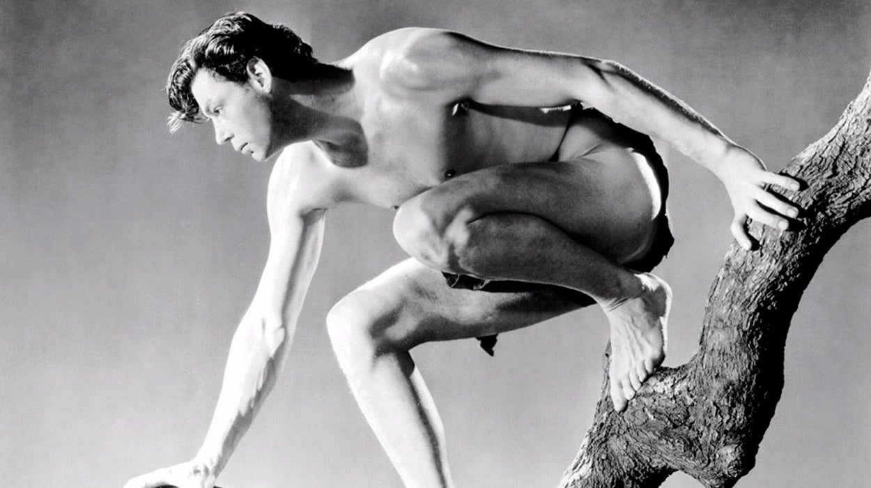 Punta Norte: Lo que no sabíamos de Tarzán Punta Norte: Lo que no sabíamos de Tarzán