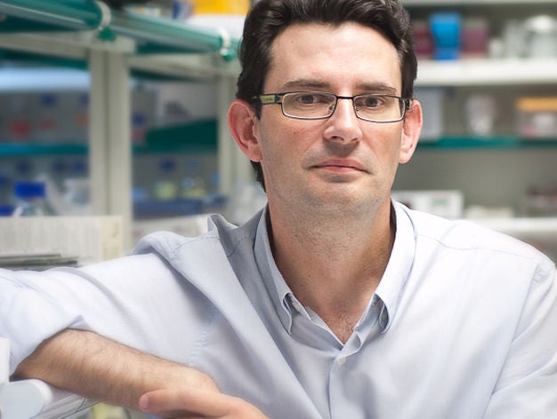 Óscar Marín, neurocientífico: "En Reino Unido la ciencia está entre sus prioridades principales, a diferencia de en España" Óscar Marín, neurocientífico: "En Reino Unido la ciencia está entre sus prioridades principales, a diferencia de en España"