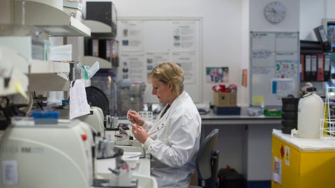 Una cient&iacute;fica trabajando en el laboratorio