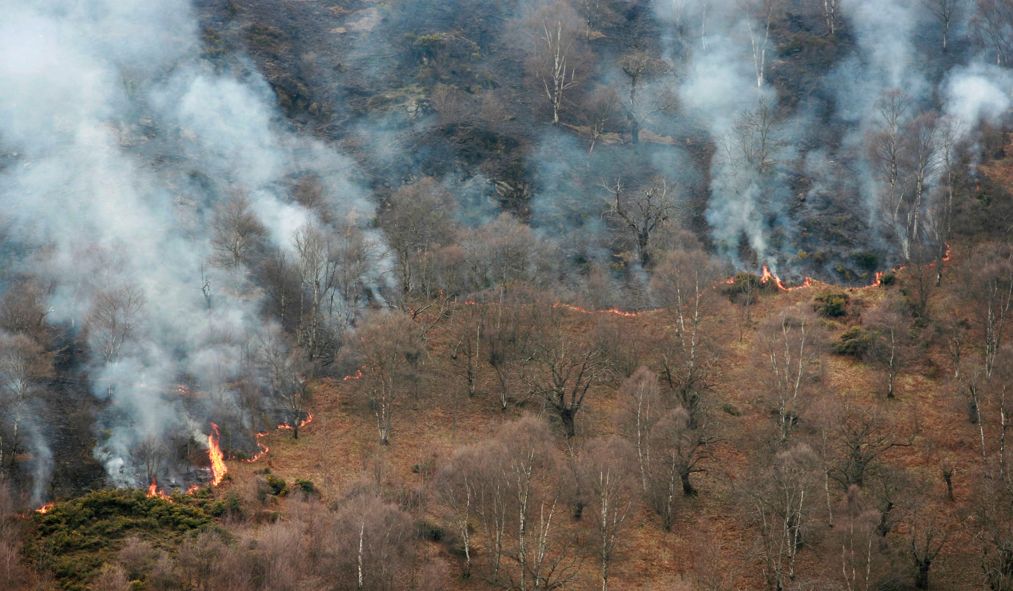 Los fuegos obligan a desalojar tres pueblos y a cortar dos vías en Asturias Los fuegos obligan a desalojar tres pueblos y a cortar dos vías en Asturias