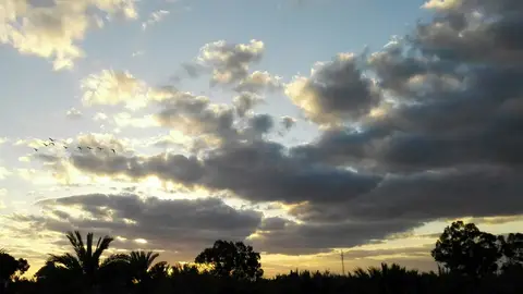 Elche. Tiempo