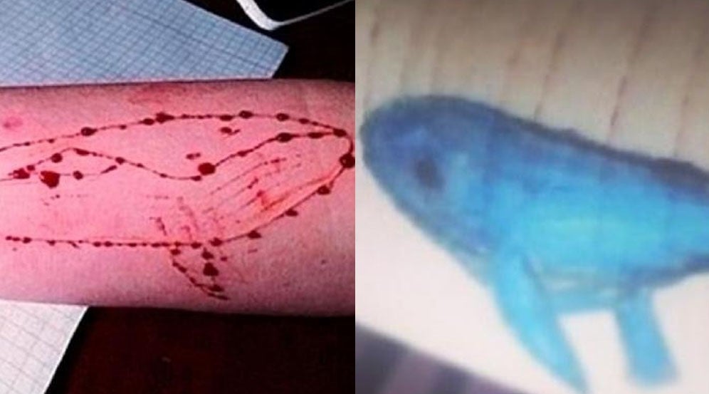 Investigan dos posibles casos de 'La ballena azul' en dos menores de Madrid Investigan dos posibles casos de 'La ballena azul' en dos menores de Madrid