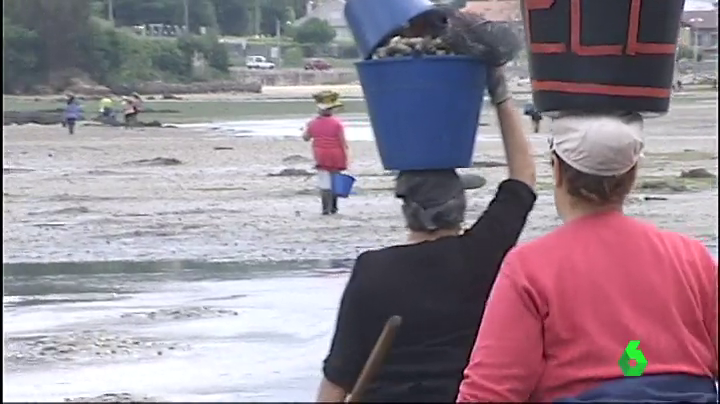 Las cofradías gallegas denuncian "interés partidista" en la manifestación de lo pélets y mantienen que los convocantes se "arrogaron una representación que no tienen" Las cofradías gallegas denuncian "interés partidista" en la manifestación de lo pélets y mantienen que los convocantes se "arrogaron una representación que no tienen"