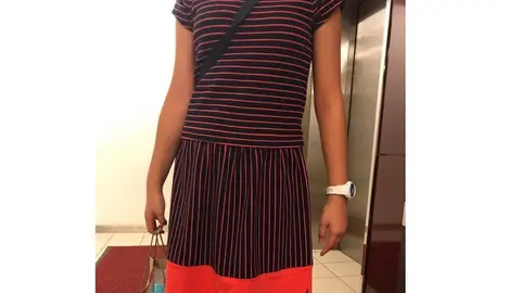 El vestido que llevaba la niña El vestido que llevaba la niña