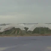 Campos de fresas en Doñana Campos de fresas en Doñana