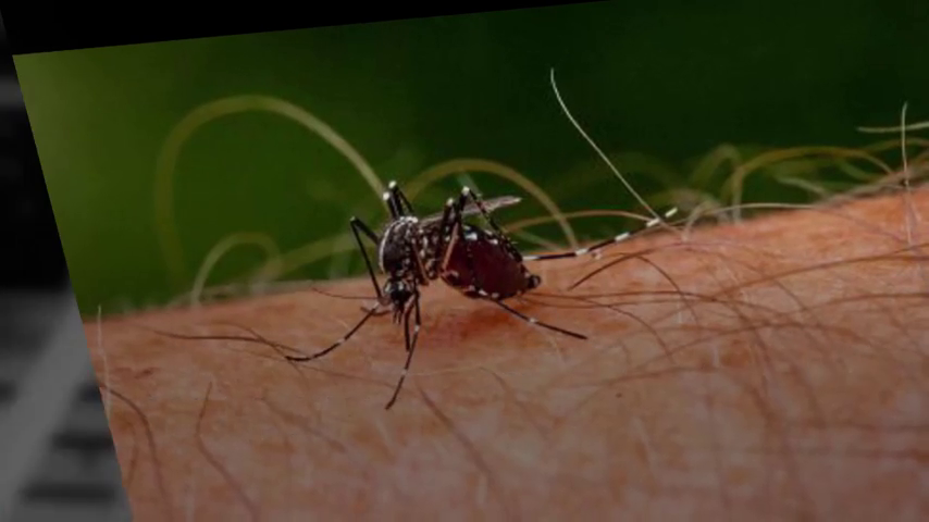 El grupo ecologista GECEN, en contra de las fumigaciones aéreas que plantea la ciudadanía El grupo ecologista GECEN, en contra de las fumigaciones aéreas que plantea la ciudadanía