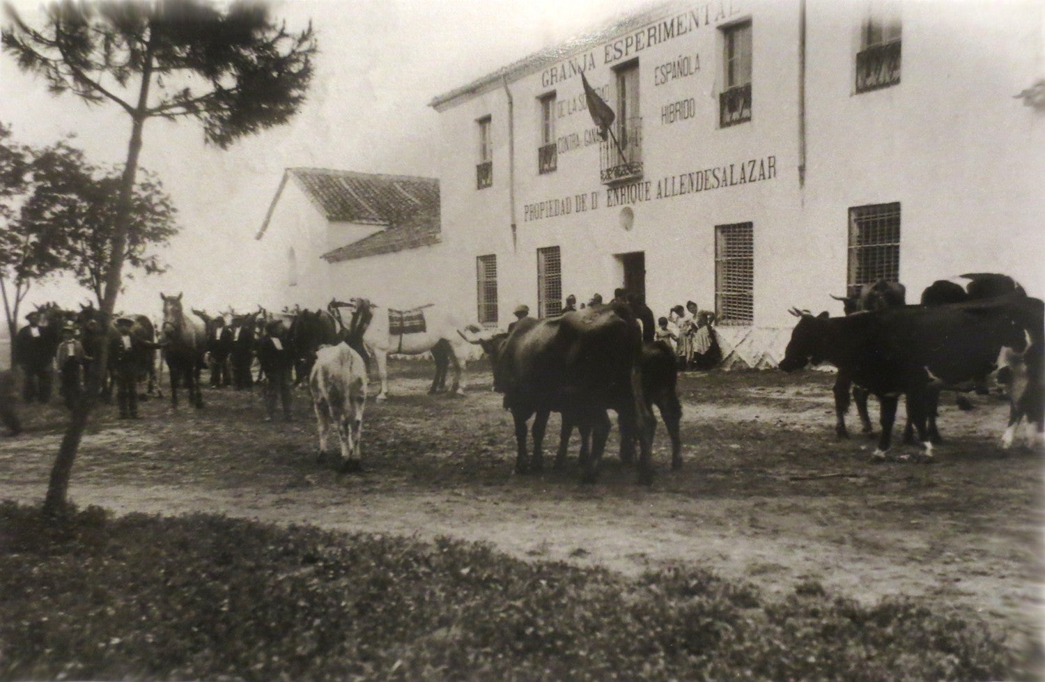 Más de uno Alcalá 17/06/2025 Más de uno Alcalá 17/06/2025