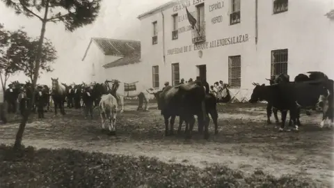 Soto de Espinillos Antigua finca agrícola a orillas del Henares