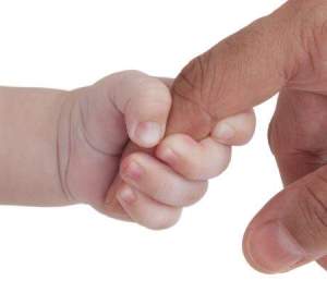 Paternidad Paternidad