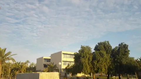 Se espera un día de calor en Elche. Tiempo