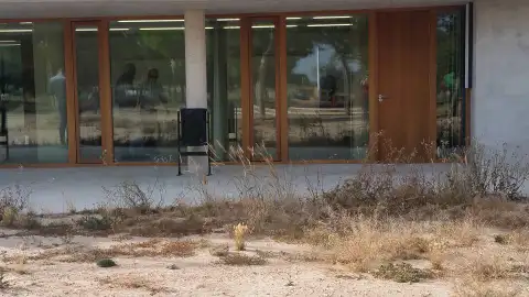 El PP de Elche critica también la falta de mantenimiento de los espacios públicos. PP