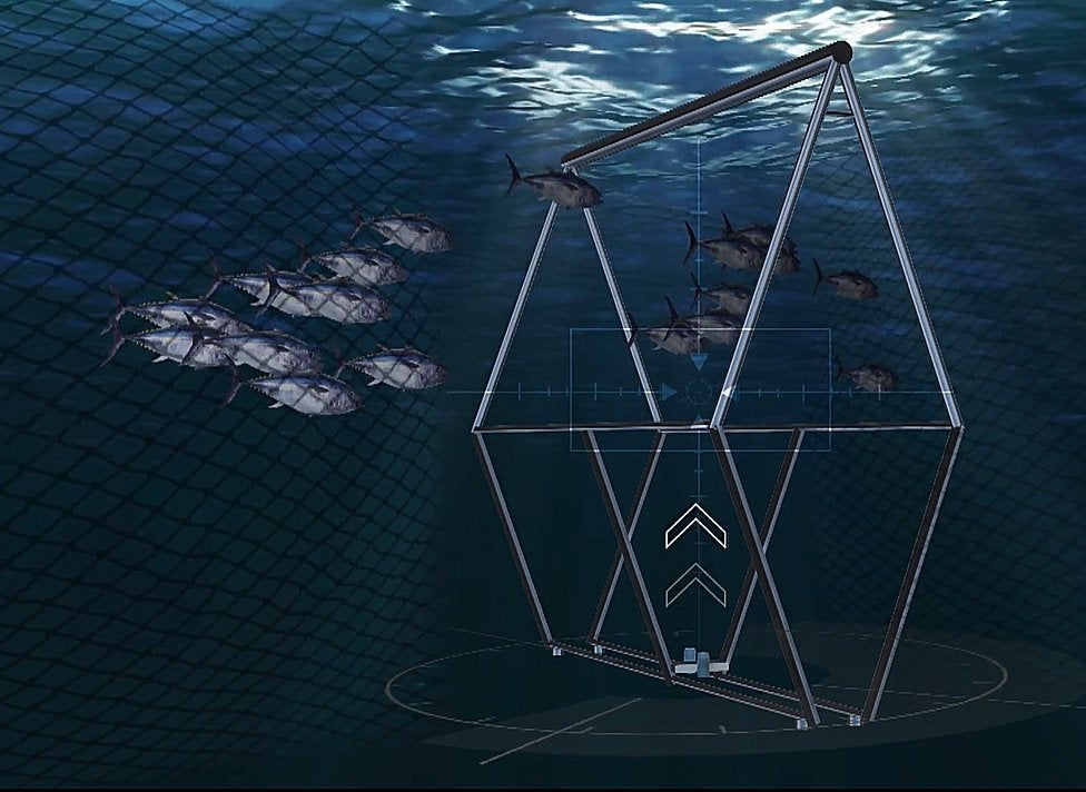 IA en el sector de la pesca IA en el sector de la pesca