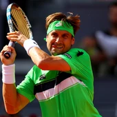David Ferrer devuelve la pelota en un partido David Ferrer devuelve la pelota en un partido