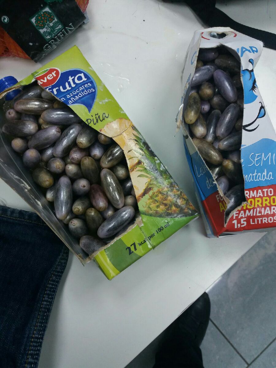 La Policía Local de Elche intercepta 227 bellotas de hachís ocultas en envases de tetrabrik La Policía Local de Elche intercepta 227 bellotas de hachís ocultas en envases de tetrabrik