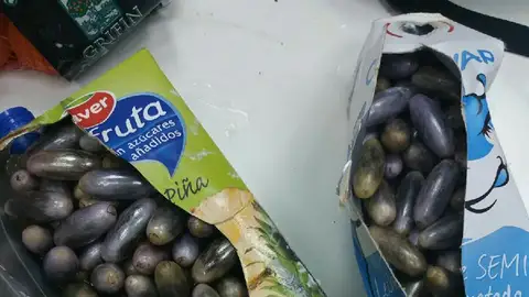 Bellotas de hachís incautadas por la Policía Local de Elche. Hachís