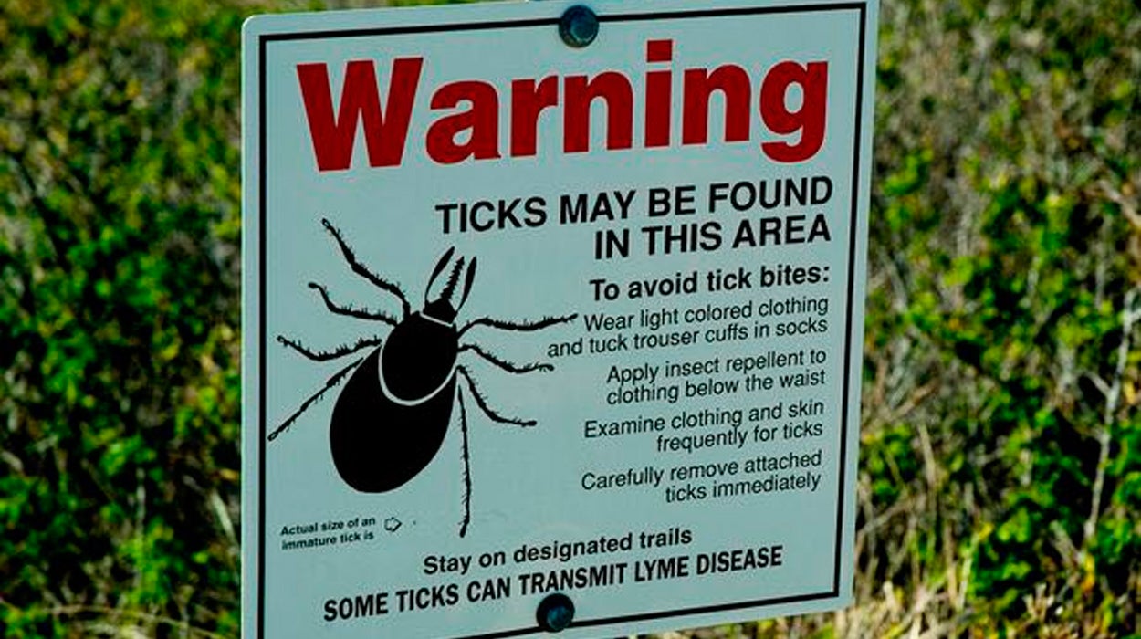 Sanidad confirma dos nuevos casos de fiebre hemorrágica de Crimea-Congo: qué es y cómo se transmite Sanidad confirma dos nuevos casos de fiebre hemorrágica de Crimea-Congo: qué es y cómo se transmite