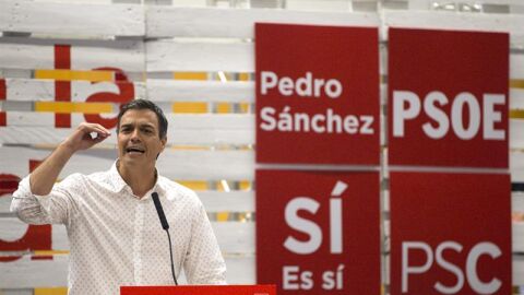 Pedro S&aacute;nchez