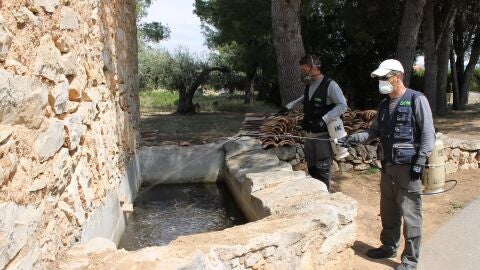 Dos operarios realizando tareas programadas contra la proliferaci&oacute;n de mosquitos.