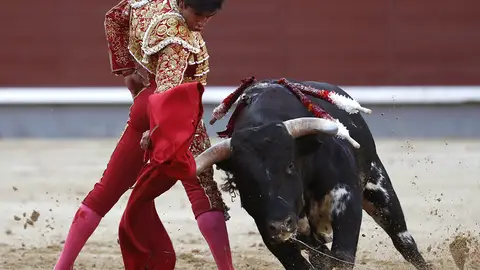El novillero venezolano Jesús Enrique Colombo en la faena a su segundo novillo El novillero venezolano Jesús Enrique Colombo en la faena a su segundo novillo