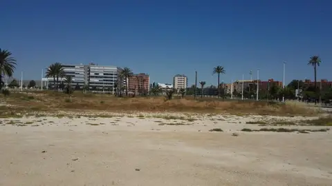 Terrenos en los que se ha proyectado la construcción del IES número 11 de Elche. Educación