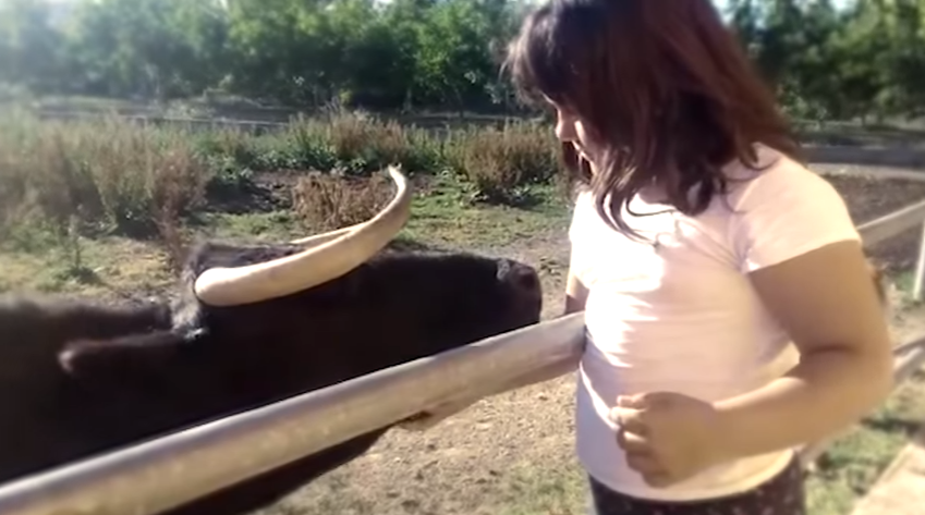 Oyentes: "Mi conejo le muerde la cola a todos mis gatos, es doméstico pero agresivo" Oyentes: "Mi conejo le muerde la cola a todos mis gatos, es doméstico pero agresivo"