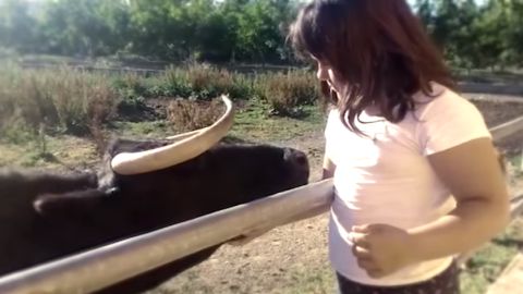 La vaca Margarita