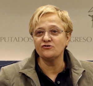 Ángeles Álvarez, portavoz de igualdad del PSOE en el Congreso Ángeles Álvarez, portavoz de igualdad del PSOE en el Congreso