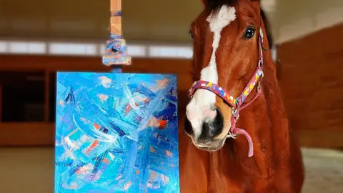 El caballo Metro y su cuadro El caballo Metro y su cuadro