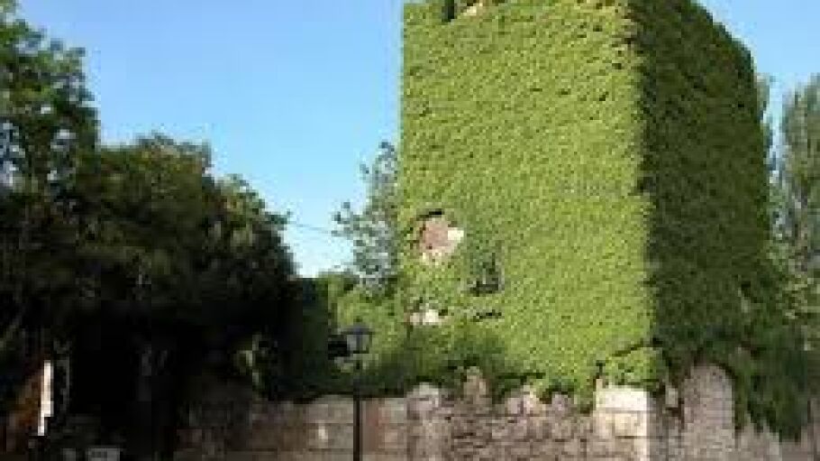 Muralla complutense