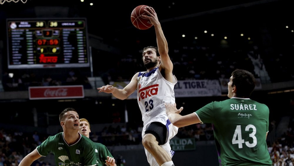 El escolta del Real Madrid Sergio Llull