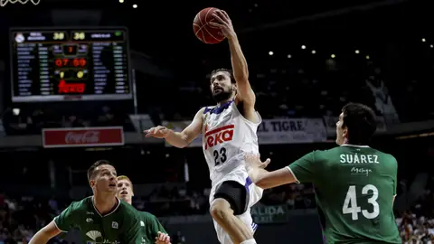 El escolta del Real Madrid Sergio Llull El escolta del Real Madrid Sergio Llull