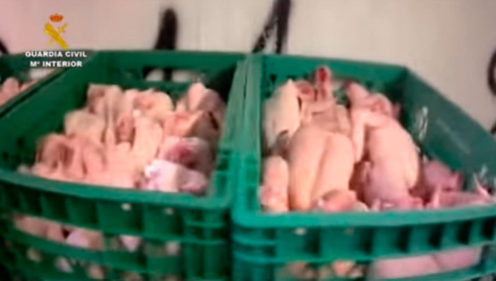 Desmantelan un almacén de carne con ratas y pájaros muertos para tiendas magrebíes