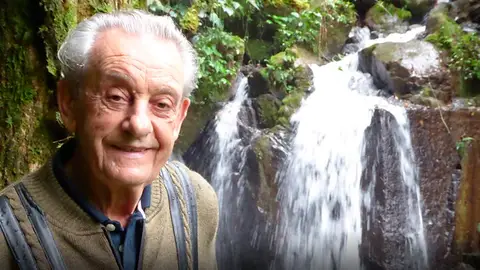 Antonio Vicente, un anciano brasileño que ha reforestado un bosque plantando 50.000 árboles Antonio Vicente, un anciano brasileño que ha reforestado un bosque plantando 50.000 árboles