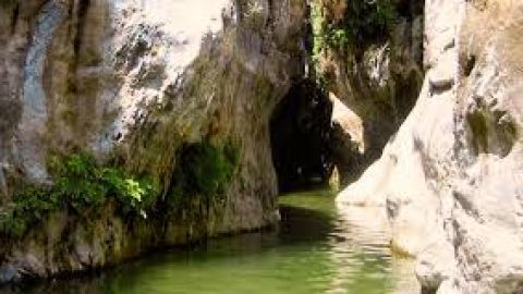 ANGOSTURAS