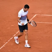 Djokovic celebra una victoria Djokovic celebra una victoria