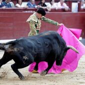 Ginés Marín acapara los premios de San Isidro y toreará en la Corrida de Cultura