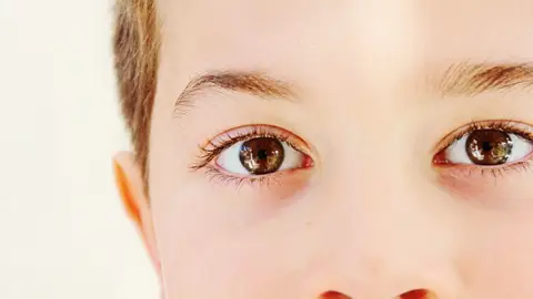 Las distintas partes del rostro son procesadas por neuronas diferentes Las distintas partes del rostro son procesadas por neuronas diferentes