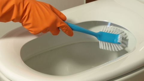 Retrete g&eacute;rmenes