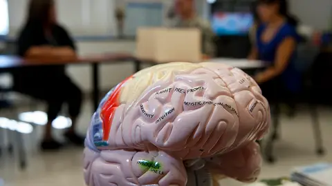 El cerebro es capaz de cambiar rápidamente el foco de atención, pero no de mantenerlo en dos sitios a la vez El cerebro es capaz de cambiar rápidamente el foco de atención, pero no de mantenerlo en dos sitios a la vez