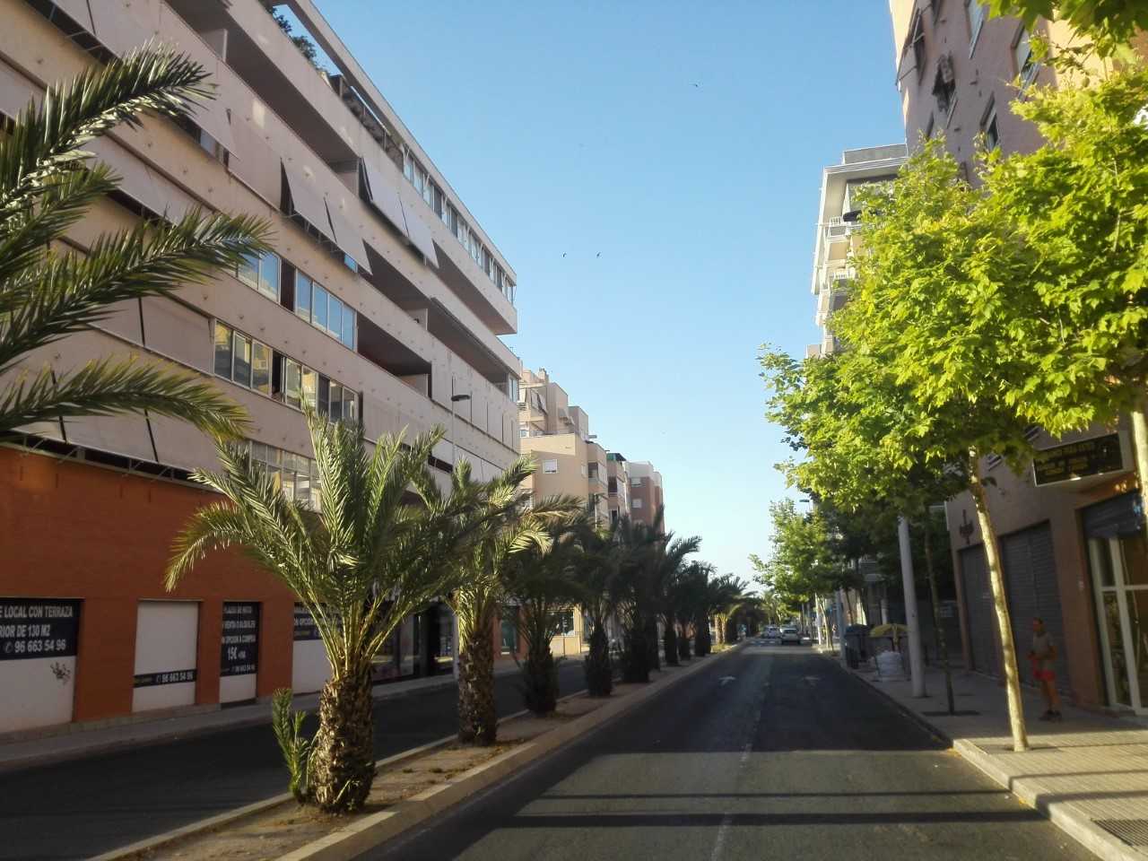 Dos intervenciones de la Policía Local y Nacional frustran sendos robos en una vivienda y una ferretería de Elche Dos intervenciones de la Policía Local y Nacional frustran sendos robos en una vivienda y una ferretería de Elche