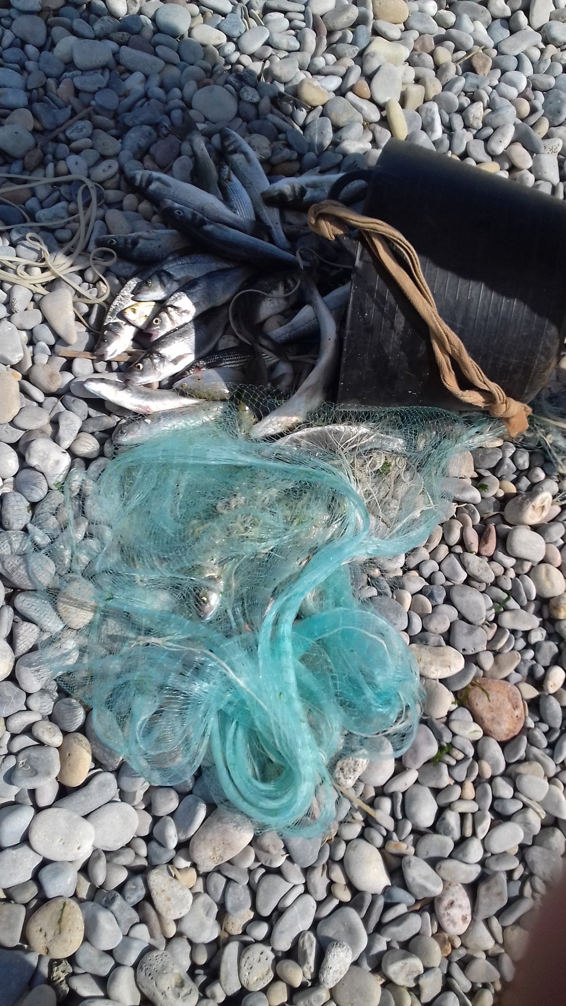 La Guardería del Consorcio río Mijares recuerda la prohibición de pescar con esparavel o rall en la desembocadura La Guardería del Consorcio río Mijares recuerda la prohibición de pescar con esparavel o rall en la desembocadura