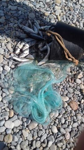 Acuicultura de la Comunidad Valenciana del a&ntilde;o 2017 permite la pesca recreativa desde superficie con este arte de ca&iacute;da denominado esparavel o rall.