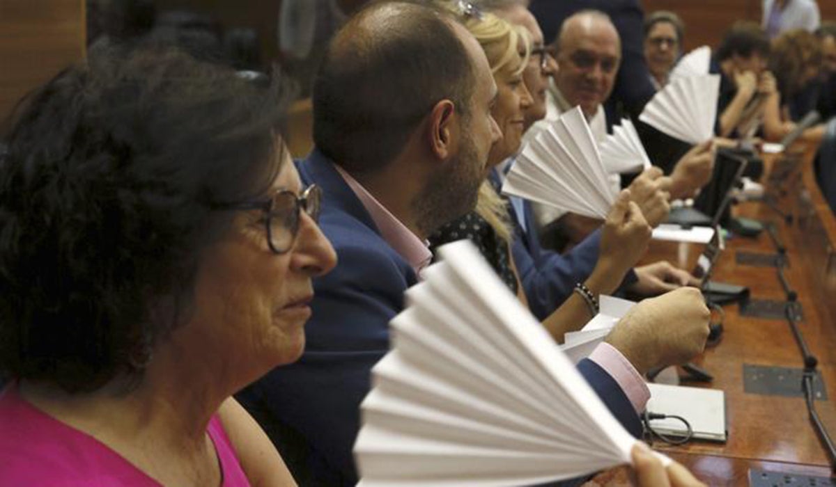 Diputados del PSOE se abanican ante el consejero de Sanidad en protesta por sus declaraciones Diputados del PSOE se abanican ante el consejero de Sanidad en protesta por sus declaraciones