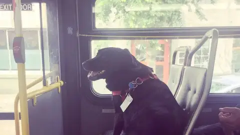 Eclipse viajando en autobús. Eclipse viajando en autobús.