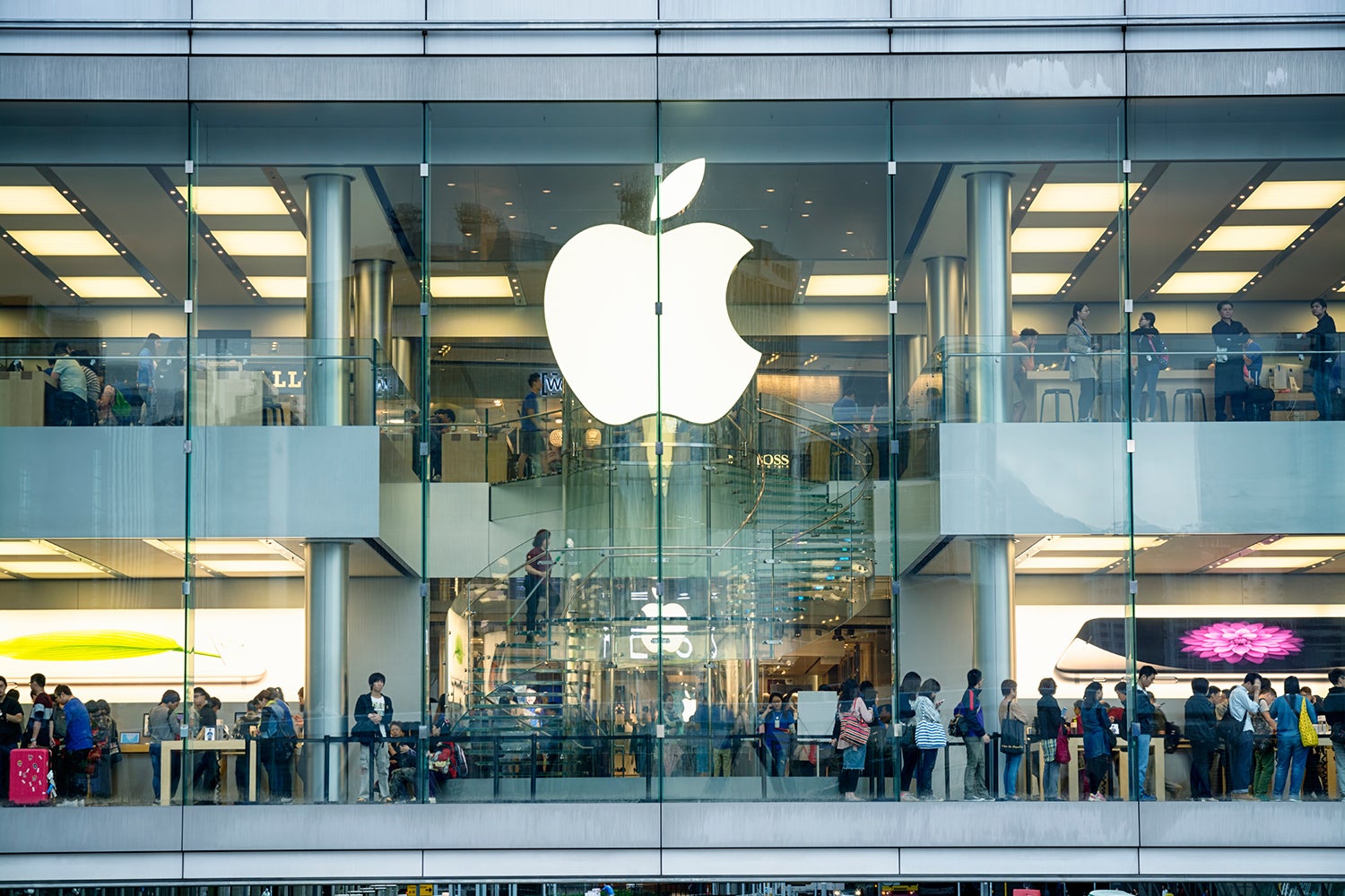 Detenida una menor que junto a niño robó 10 móviles a mordiscos en una tienda Apple Detenida una menor que junto a niño robó 10 móviles a mordiscos en una tienda Apple