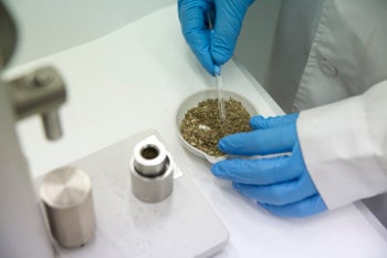 Pamplona en la Onda. 30/10/2017. Pamplona en la Onda. 30/10/2017.