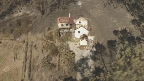 Portugal consigue dominar el fuego que se inici&oacute; el s&aacute;bado pasado en Pedr&oacute;g&atilde;o Grande