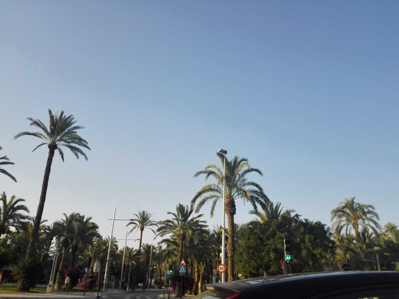 El tiempo durante las fiestas de Navidad en Baleares: temperaturas suaves y sin lluvias El tiempo durante las fiestas de Navidad en Baleares: temperaturas suaves y sin lluvias